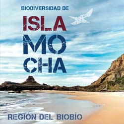 isla-mocha-booklet