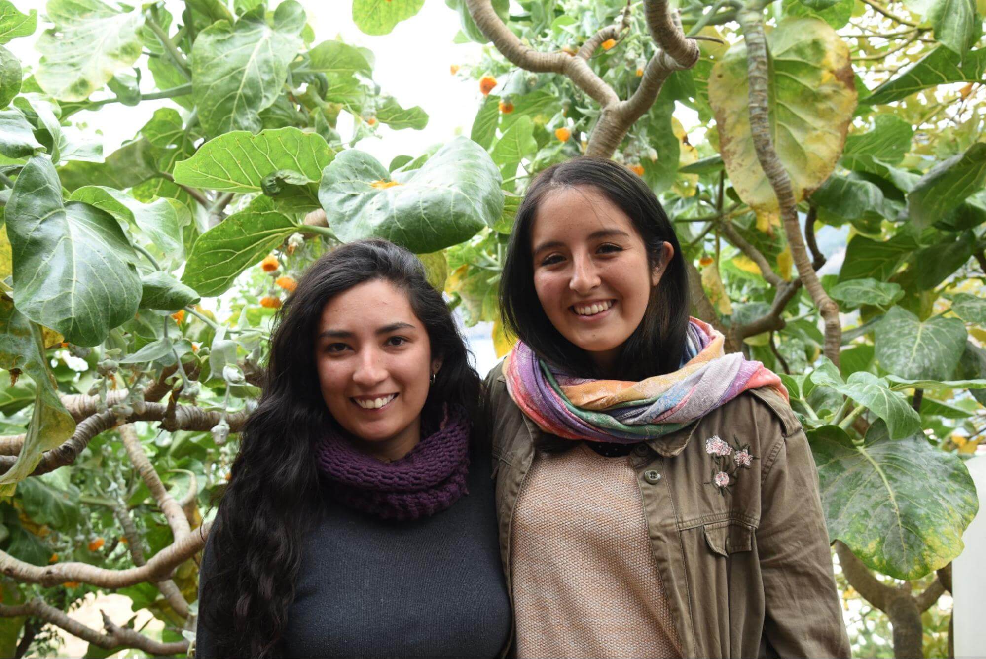 Young islanders carried out studies with archipelago seabirds