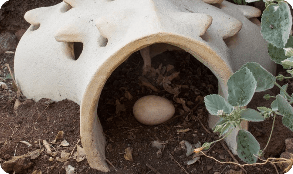 Nesting Boxes