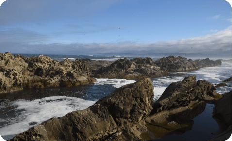 Islands of the Outer Coast