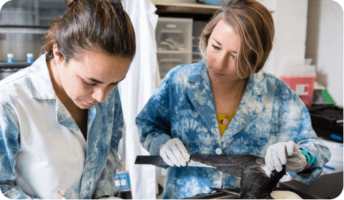 Pelagicos Lab at Oceanic Institute