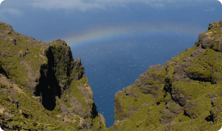 Habitát del Rayadito de Más Afuera