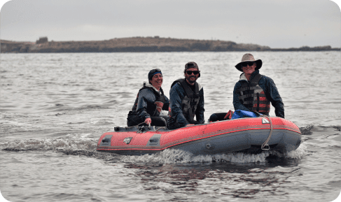Cassin's Auklet Conservation