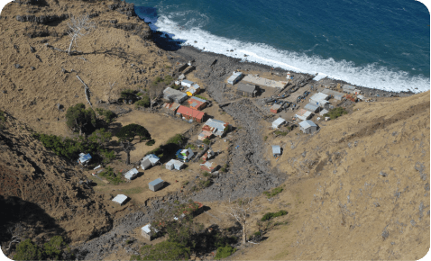 Habitát del Rayadito de Más Afuera
