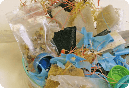 Tracking Marine Plastic Pollution: Is it increasing?