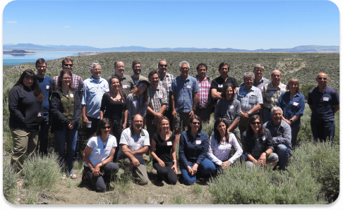 International Phalarope Working Group