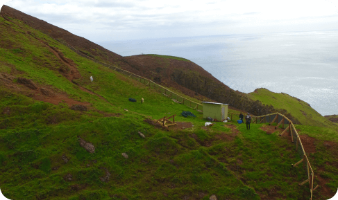 Exclusion Fences