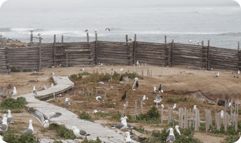 Exclusion Fences