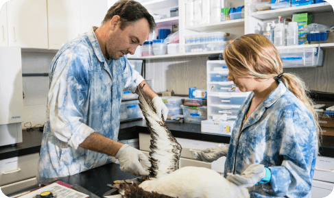 Environment Pollution Studies