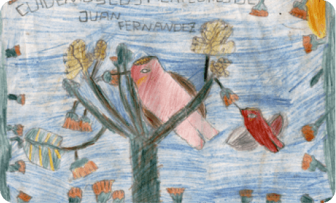 Drawing of a Bird