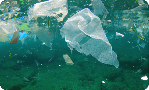 Ocean Pollution