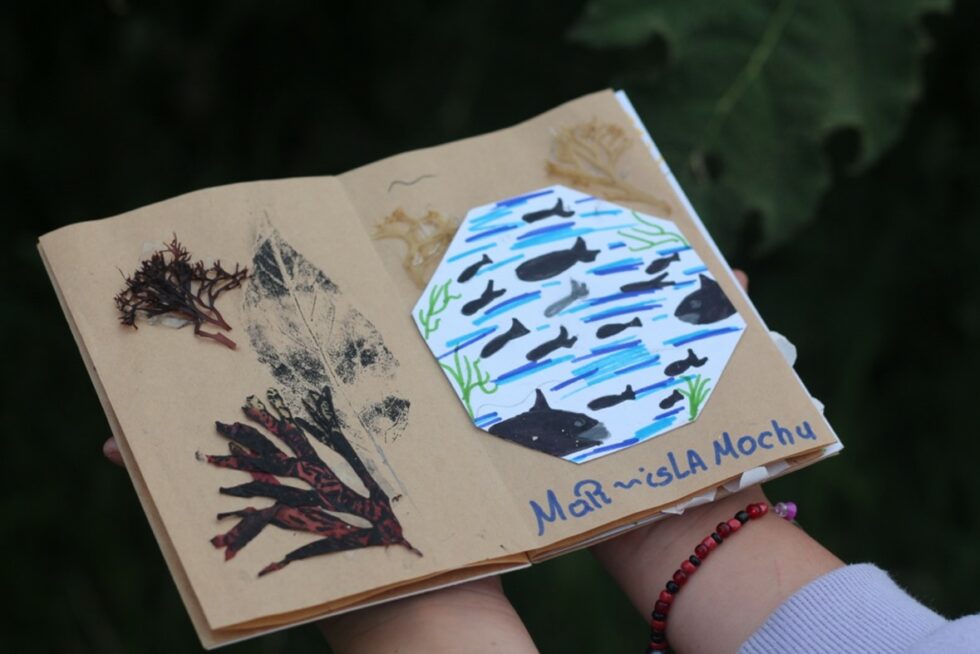 Cultivando el amor por la naturaleza en los niños por medio del arte ...