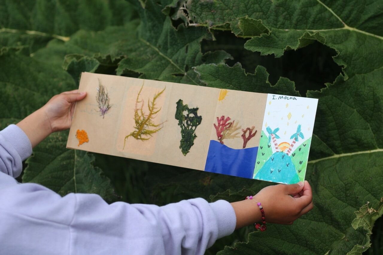 Cultivando el amor por la naturaleza en los niños por medio del arte ...