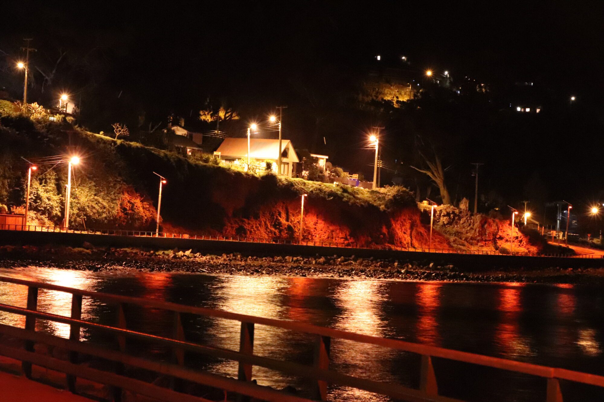 Solutions to light pollution affecting Pink-footed Shearwaters and many more species in Robinson Crusoe Island