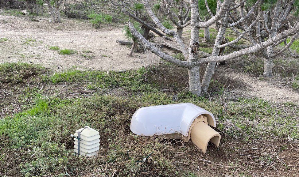 Murrelet nest installation 1_Santa Barbara Island