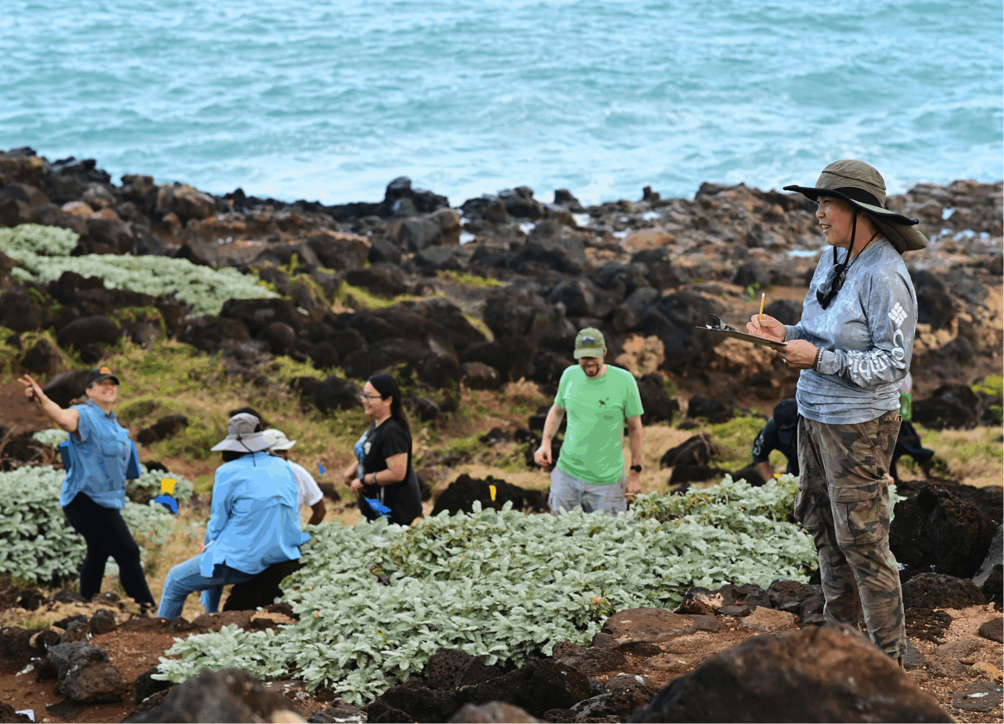 Research at freeman seabird preserve