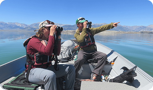 mono-lake-3