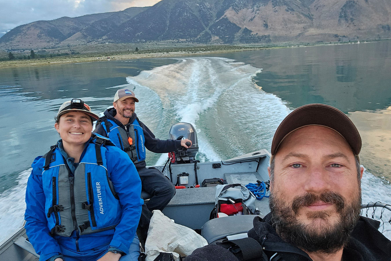 Phalarope Tagging at Mono Lake: An Update from Science Director Ryan Carle